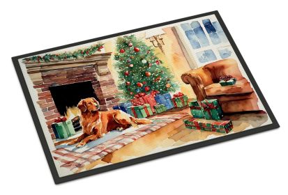 Nova Scotia Duck Tolling Retriever Cozy Christmas Doormat Front Door Mat Indoor Outdoor Rugs for Entryway, Non Slip Washable Low Pile, 24H X 36W