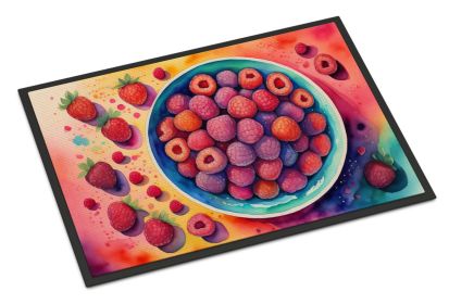 Colorful Raspberries Doormat Front Door Mat Indoor Outdoor Rugs for Entryway, Non Slip Washable Low Pile, 24H X 36W