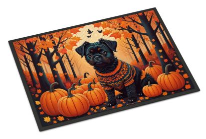 Affenpinscher Fall Doormat Front Door Mat Indoor Outdoor Rugs for Entryway, Non Slip Washable Low Pile, 24H X 36W