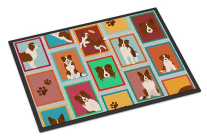 Lots of Red Border Collie Doormat Front Door Mat Indoor Outdoor Rugs for Entryway, Non Slip Washable Low Pile, 24H X 36W