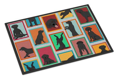 Lots of Black Labrador Retriever Doormat Front Door Mat Indoor Outdoor Rugs for Entryway, Non Slip Washable Low Pile, 24H X 36W