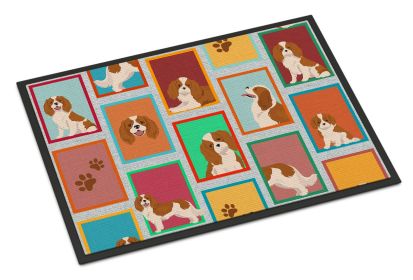 Lots of Blenheim Cavalier Spaniel Doormat Front Door Mat Indoor Outdoor Rugs for Entryway, Non Slip Washable Low Pile, 24H X 36W