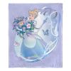 Disney 100 Silk Touch Throw Blanket, 50" x 60", Celebration Cinderella