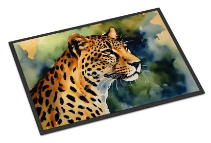 Leopard Doormat Front Door Mat Indoor Outdoor Rugs for Entryway, Non Slip Washable Low Pile, 24H X 36W (Default: Default)