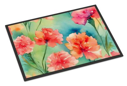 Carnations in Watercolor Doormat Front Door Mat Indoor Outdoor Rugs for Entryway, Non Slip Washable Low Pile, 24H X 36W (Default: Default)