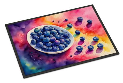 Colorful Blueberries Doormat Front Door Mat Indoor Outdoor Rugs for Entryway, Non Slip Washable Low Pile, 24H X 36W (Default: Default)