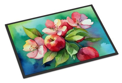 Arkansas Apple Blossom in Watercolor Doormat Front Door Mat Indoor Outdoor Rugs for Entryway, Non Slip Washable Low Pile, 24H X 36W (Default: Default)