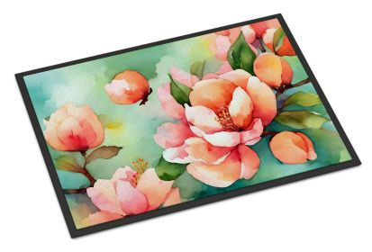 Delaware Peach Blossom in Watercolor Doormat Front Door Mat Indoor Outdoor Rugs for Entryway, Non Slip Washable Low Pile, 24H X 36W (Default: Default)