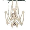 Spook Up Your Halloween Decor with This Vivid Bat Skeleton Model